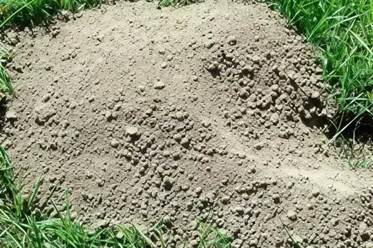 Gopher Mound