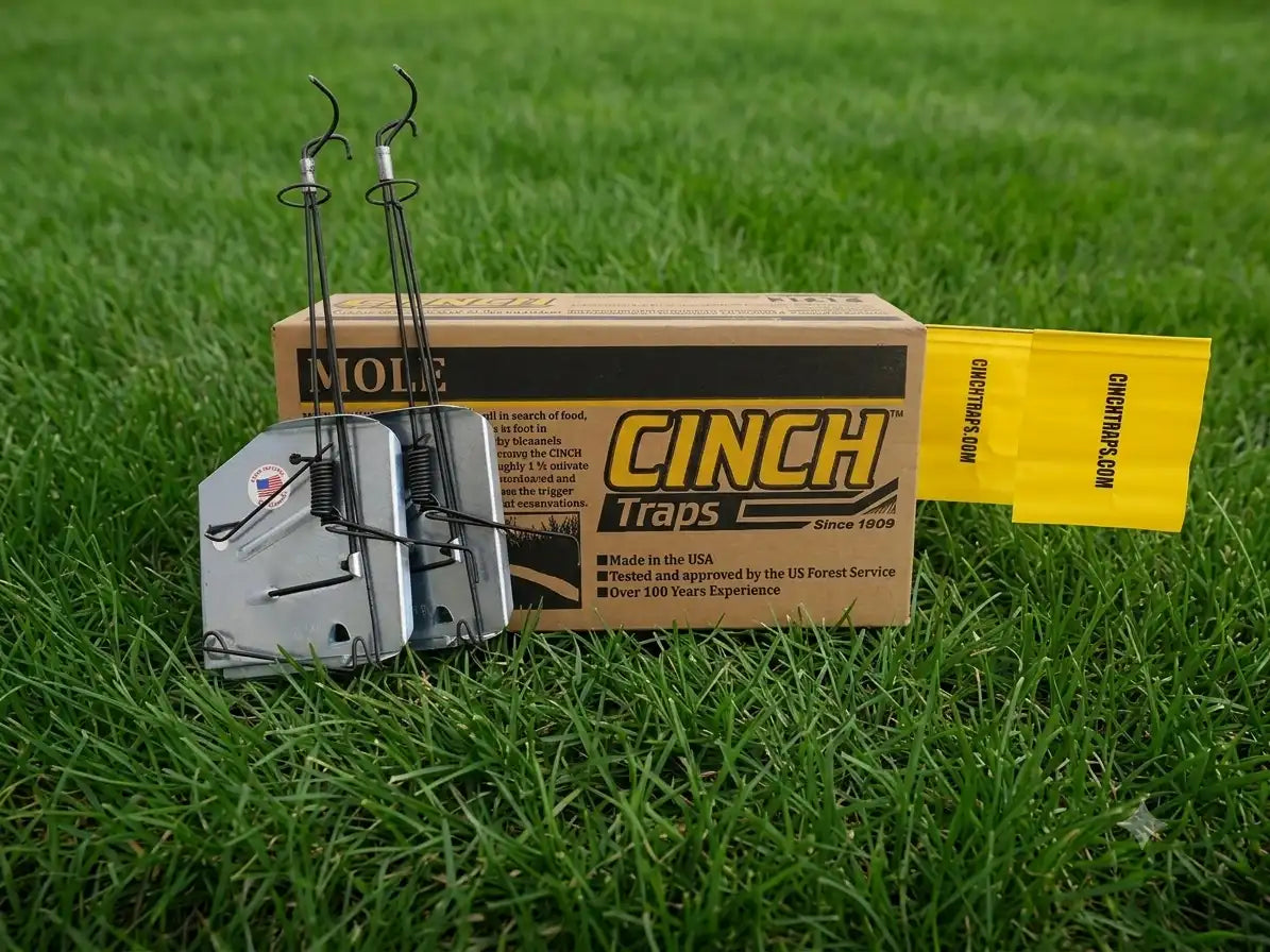 Reasons Bulk Buyers Choose CINCH