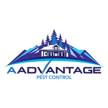 Aadvantage
