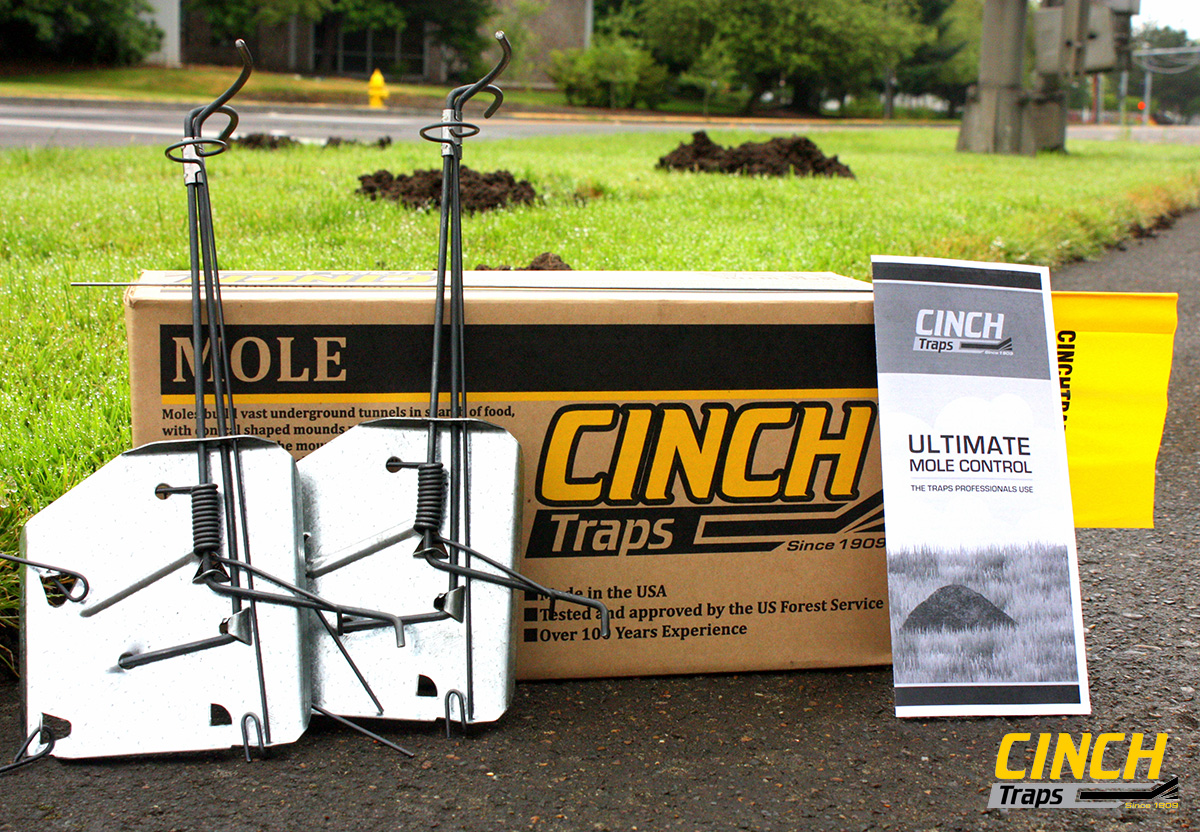 Mole Kit, Cinch Traps