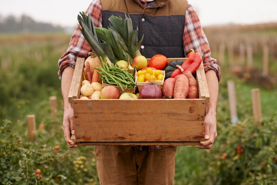 farmer holding produce