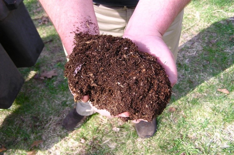 fertilizer