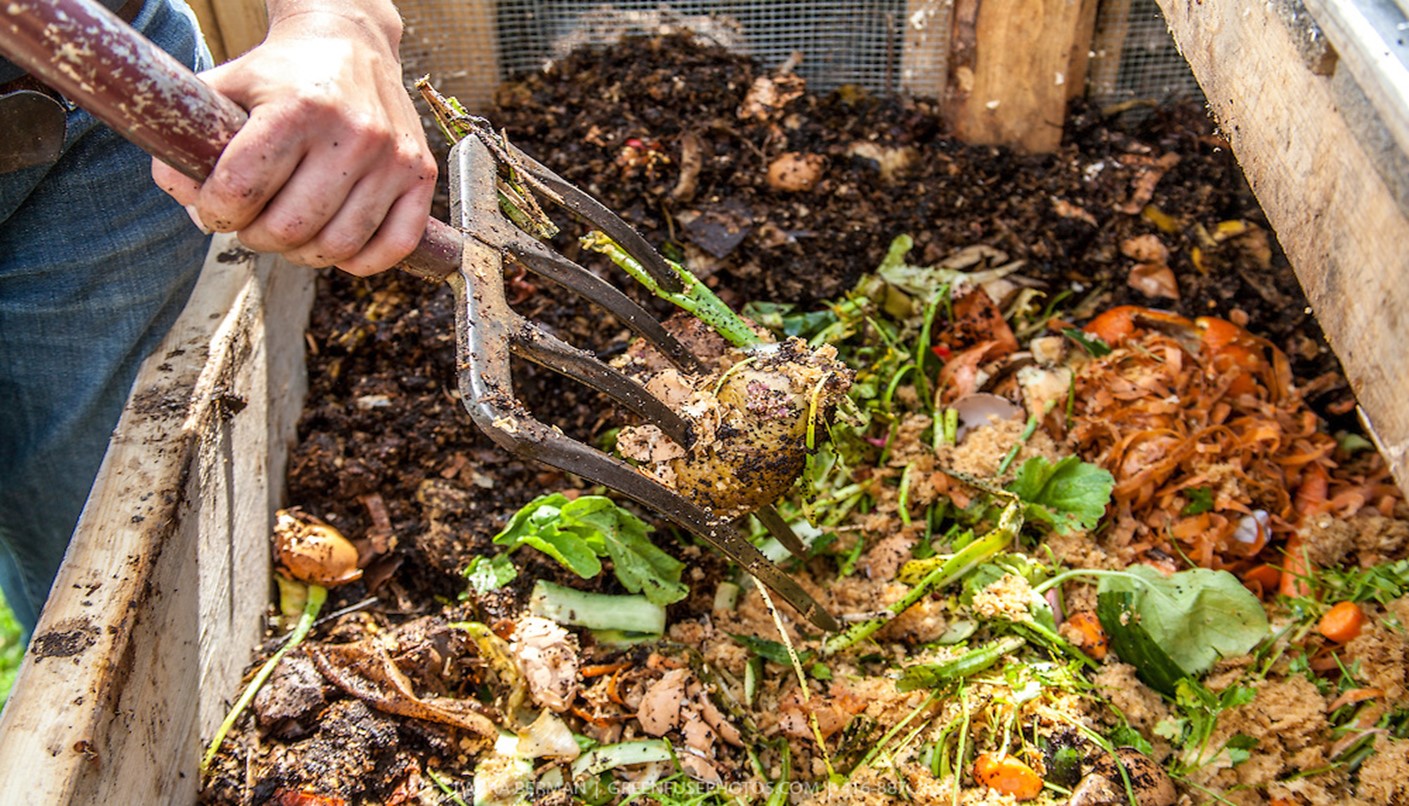 compost pile