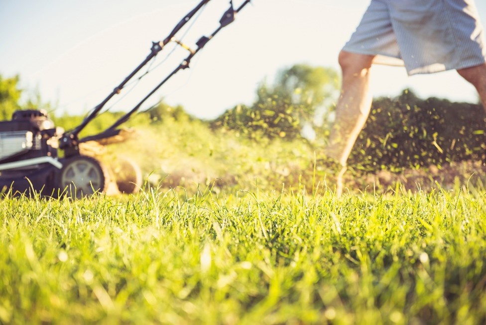 mowing lawn