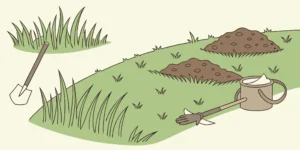 One of the best mole traps set in a lawn with fresh molehills.