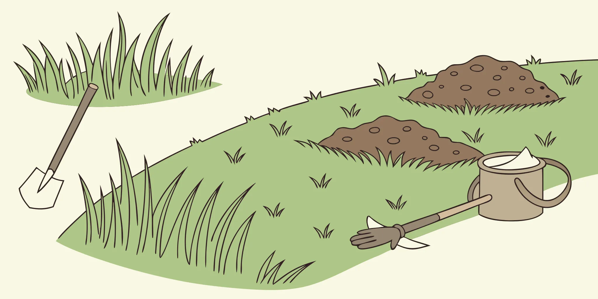 One of the best mole traps set in a lawn with fresh molehills.