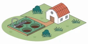 A durable mole trap set in a lawn, a smart item to buy for mole control.