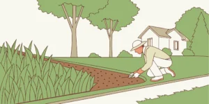 Person setting a mole trap in a garden in Oklahoma City.