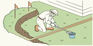 Setting a gopher trap inside a freshly dug gopher tunnel.