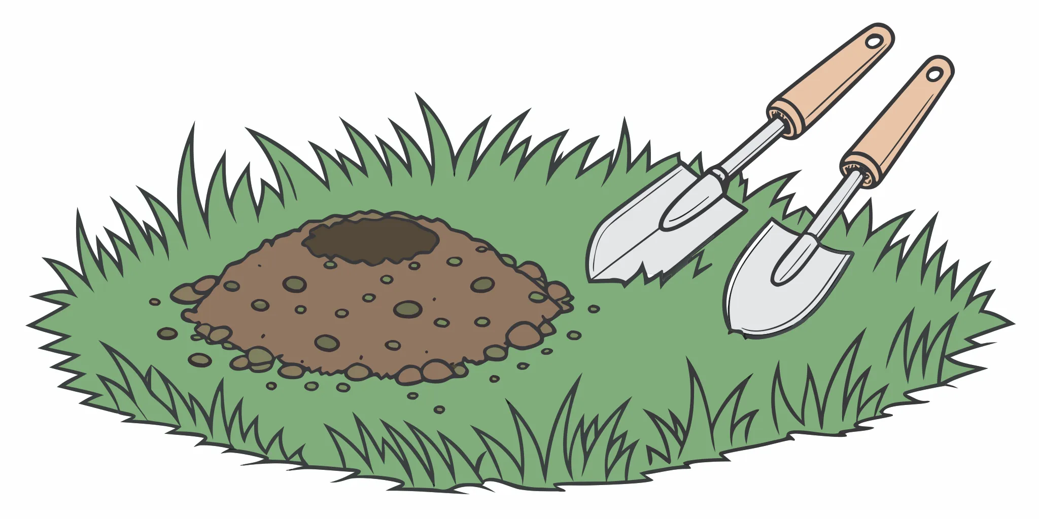 A freshly dug hole and trowels in a lawn, ready to set the easiest gopher trap to use.