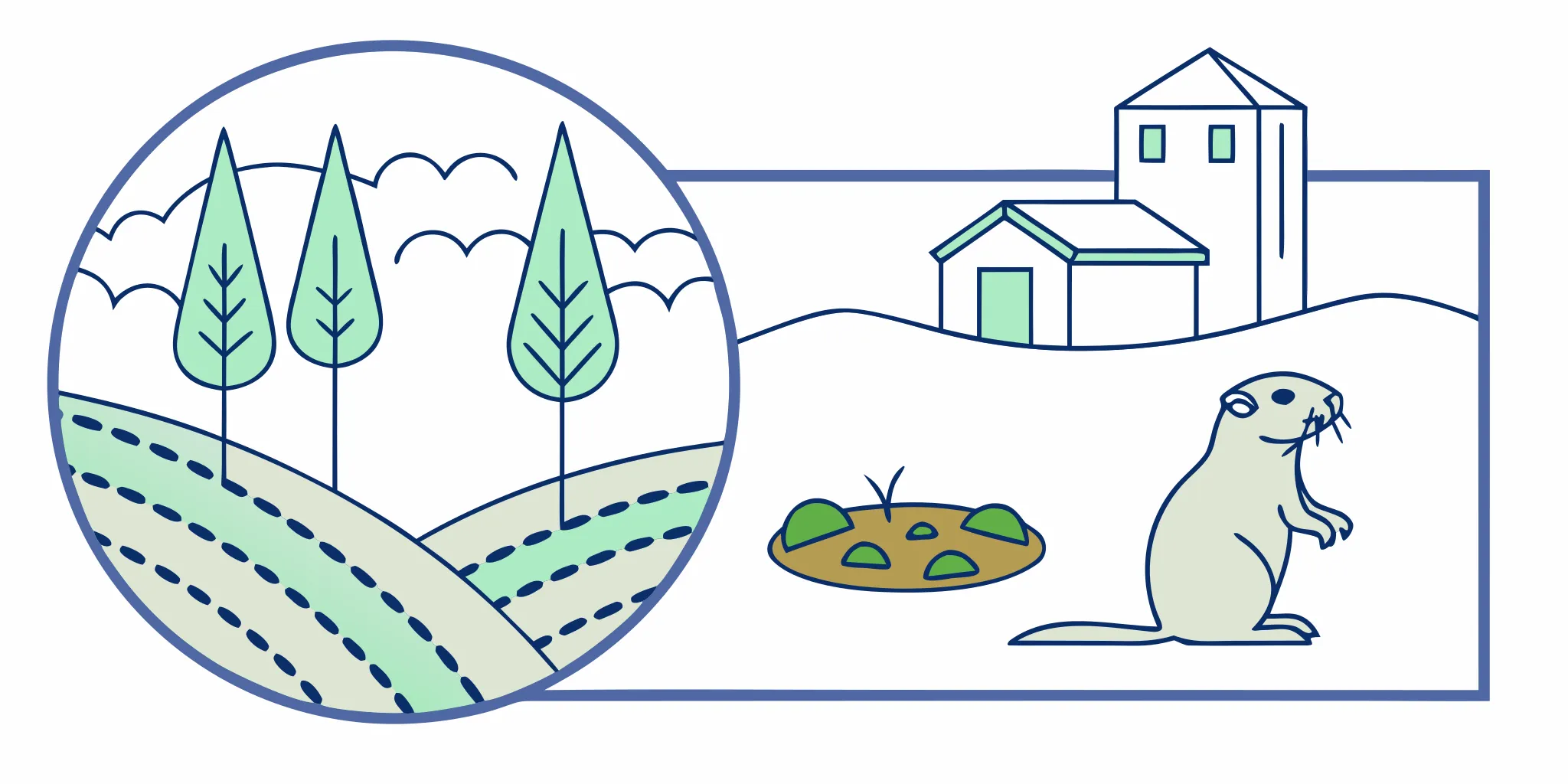 A gopher in a Denver yard, a common sight for homeowners who need to buy gopher traps.