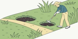 Gardener flattens a molehill with a hoe to get rid of moles in the lawn.