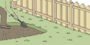 A person digging in a lawn with a small shovel, preparing to set a mole trap.