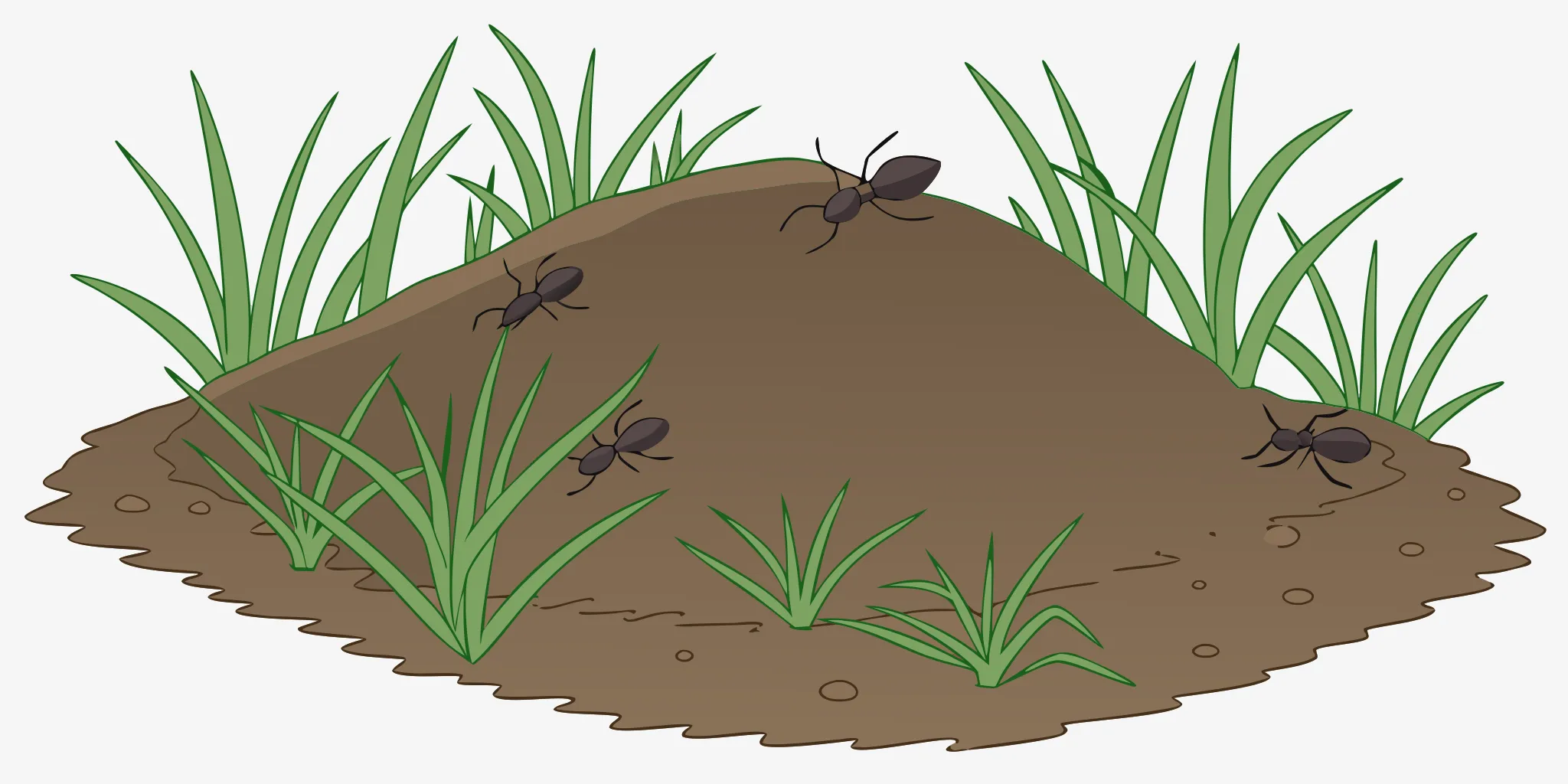 A molehill in a lawn, the target for an effective mole killer trap.