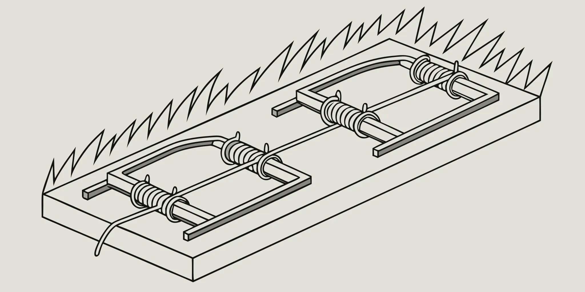 One of the most effective mole traps, a scissor-style trap, set in a lawn mole tunnel.
