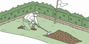 A professional gopher trap being set by hand into a gopher tunnel.