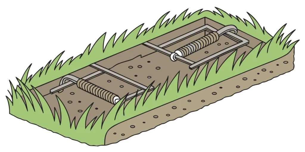 Victor-style plunger trap and Cinch tunnel trap comparison