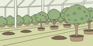 Garden center nursery with potted plants showing mole and gopher damage mounds