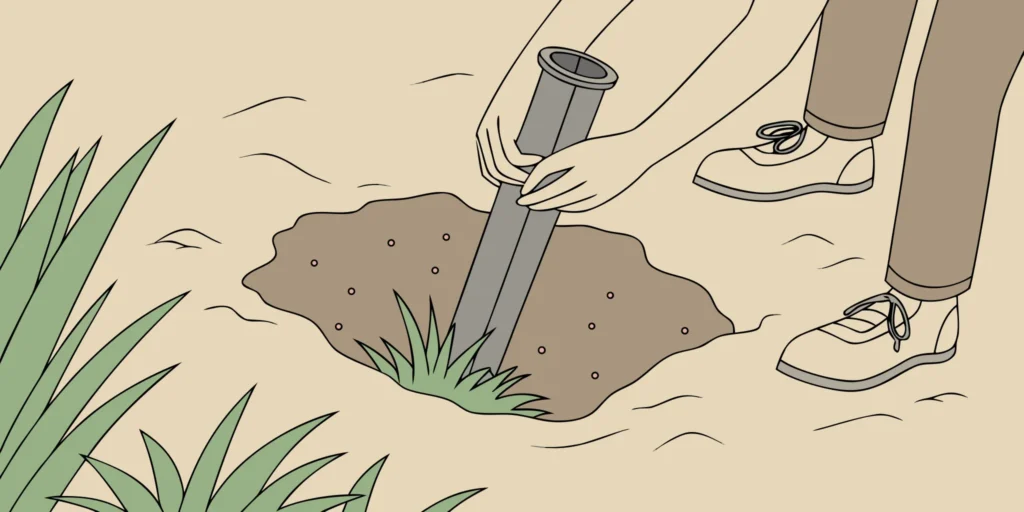 Metal gopher trap being set in loose sandy soil in a garden